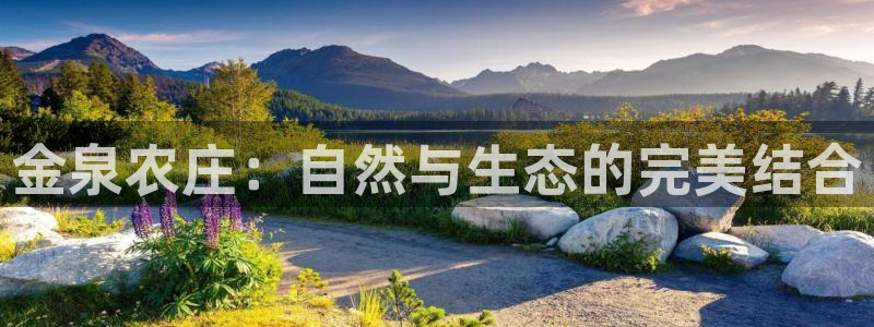 娱乐从琳琅榜开始