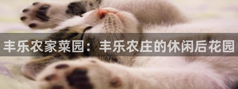 琳琅科技娱乐qq机器人词库