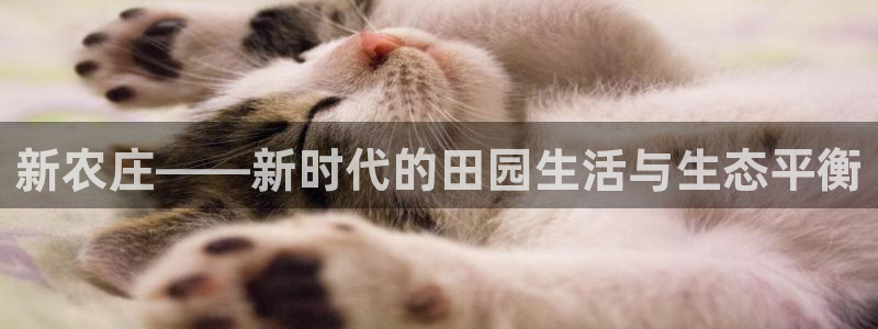 琳琅国际娱乐会所