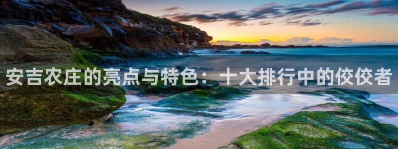 琳琅娱乐代理注册