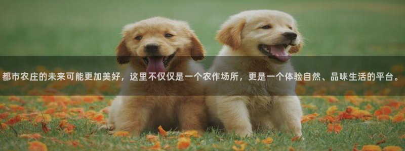 琳琅科技娱乐机器人下载