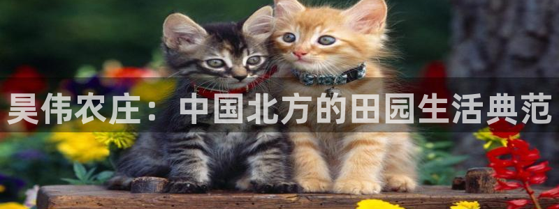 琳琅娱乐在线注册