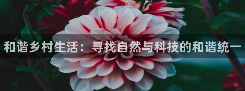 琳琅娱乐工作室招聘条件