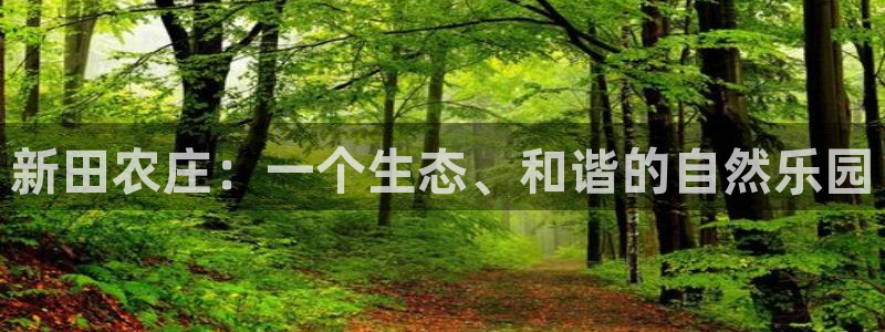 琳琅娱乐平台是真的吗