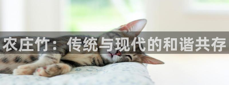 琳琅娱乐注册咋7O777