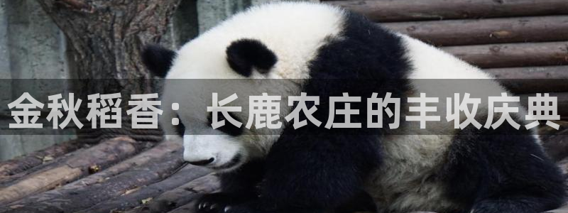 琳琅娱乐工作室怎么样啊