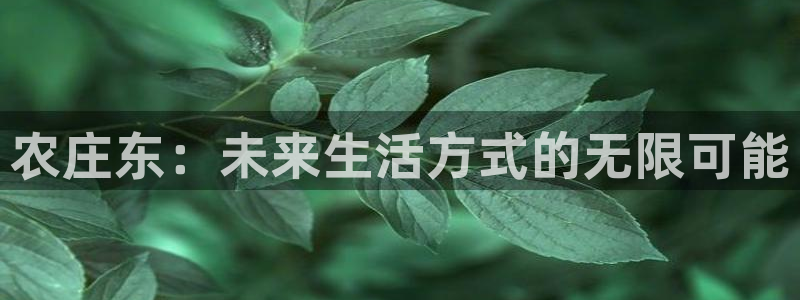 琳琅娱乐信誉33300