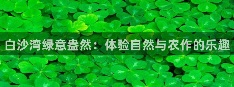 琳琅娱乐社区600u