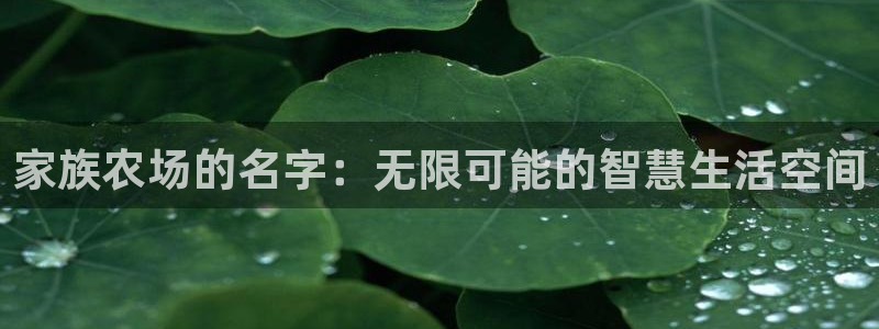 琳琅娱乐场所在哪里