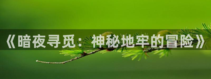 琳琅娱乐平台是真的吗