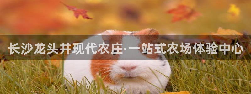琳琅国际娱乐会所电话