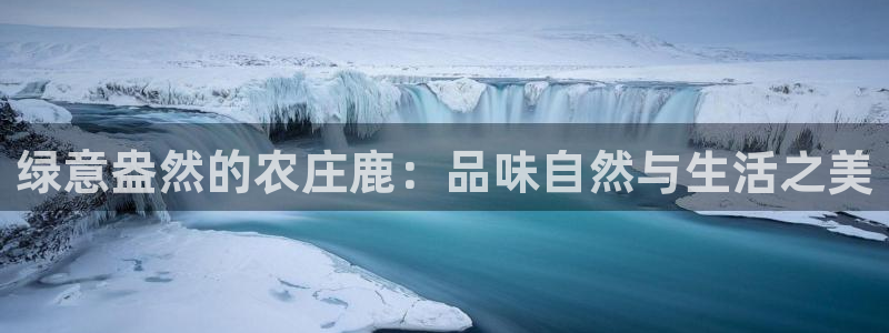 娱乐从琳琅榜开始笔趣阁
