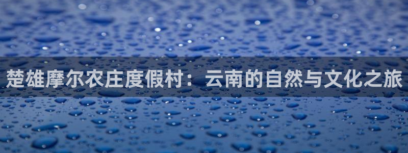 琳琅娱乐4120051