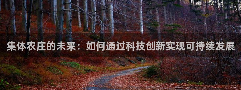琳琅娱乐导航