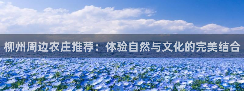 琳琅娱乐平台怎么样可靠吗