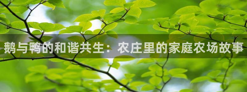 琳琅聊娱乐