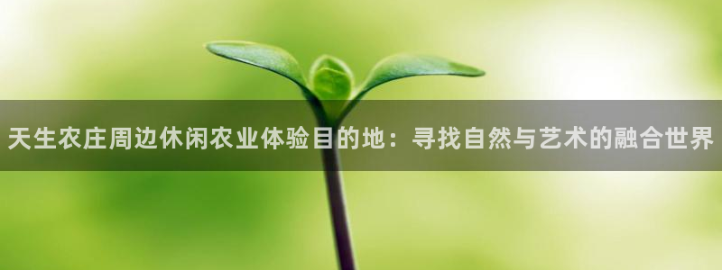 琳琅娱乐 全麦优质