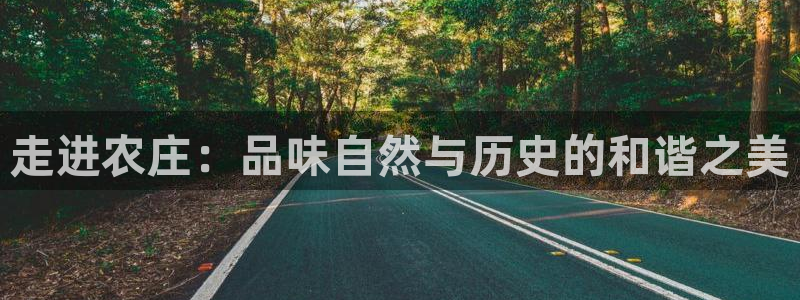 琳琅娱乐在哪直播