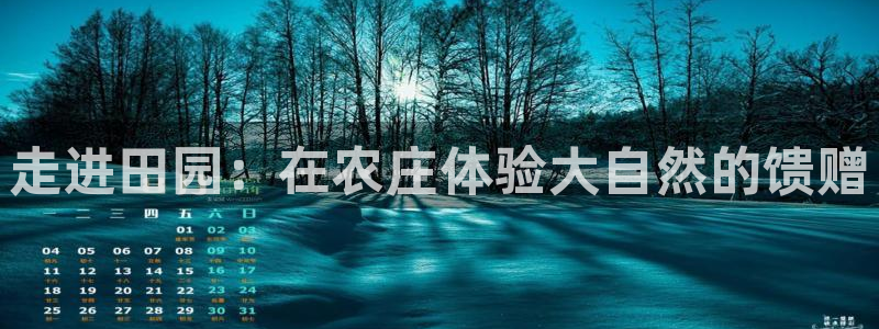 琳琅科技娱乐QQ机器人