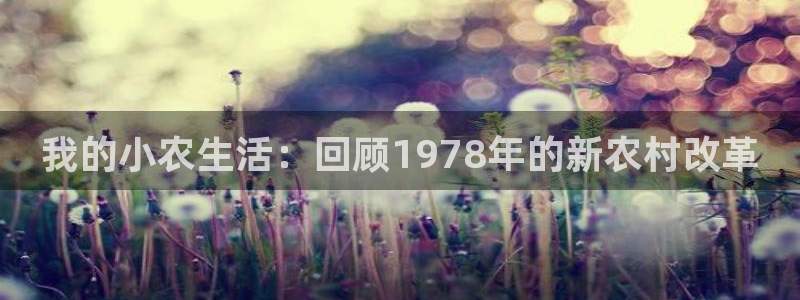 琳琅社区文艺娱乐