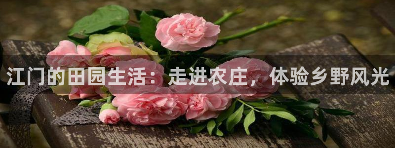 琳琅娱乐成年女人视频