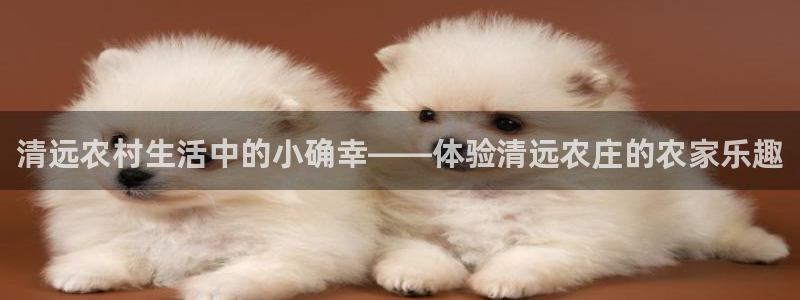 娱乐从琳琅榜开始