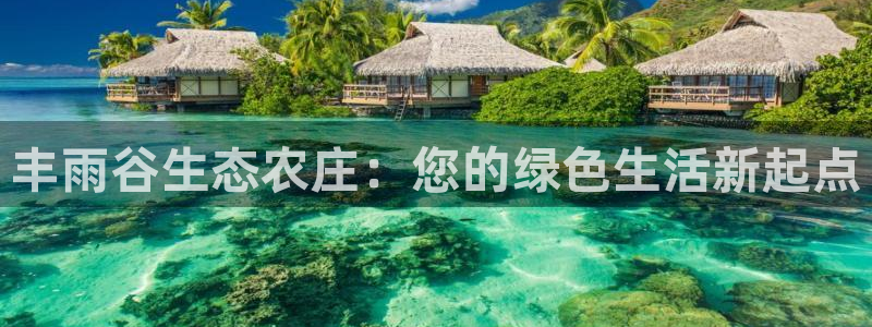 琳琅娱乐代理怎么做