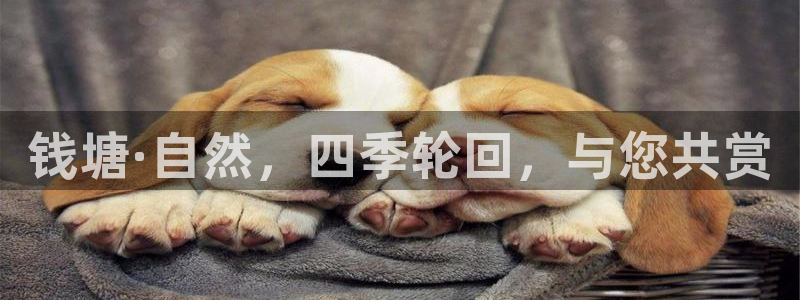 琳琅娱乐场所有哪些