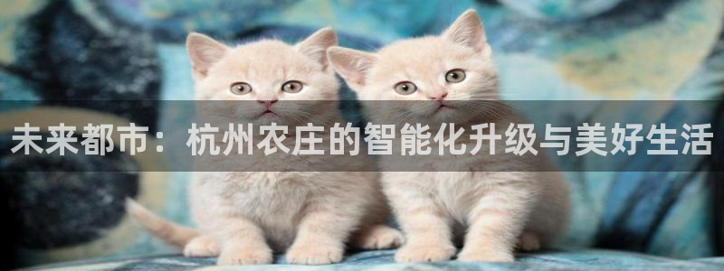 琳琅娱乐在线观看