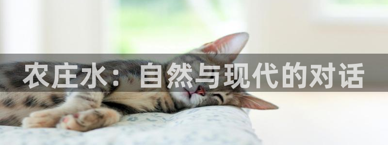 琳琅娱乐工作室招聘信息