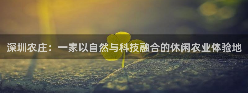 琳琅聊娱乐