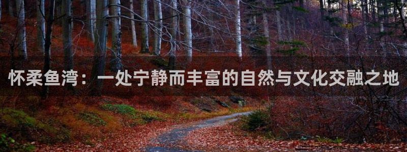琳琅娱乐注册